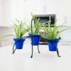 ACHLA Designs Small Herb Caddy Iron Plant Stand Black - ACHLA Design -Cheap Planters Store unnamed file 7185