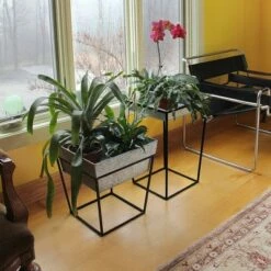 22" Tall Large Indoor Outdoor Iron Arne Plant Stand with Galvanized Steel Tray Black Powder Coat Finish - Achla Designs