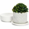 Farmlyn Creek 15 Pack Plastic Flower Pot Saucers, Drip Tray for Potted Plants, Round, White, 6"