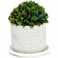 Farmlyn Creek 15 Pack Plastic Flower Pot Saucers, Drip Tray for Potted Plants, Round, White, 6" -Cheap Planters Store unnamed file 7367