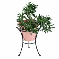 14" Iron Multi-Use Stand for Planter, Birdbath, Gazing Ball Black - ACHLA Designs