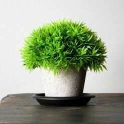 Juvale 24 Pack Round Plant Trays for Flower Pots Container (4 in, Black)