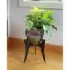 12" Tall Small Indoor Outdoor Ibex Iron Plant Stand with Curved Legs Black Powder Coat Finish - Achla Designs 2 12" Tall Small Indoor Outdoor Ibex Iron Plant Stand with Curved Legs Black Powder Coat Finish - Achla Designs -Cheap Planters Store unnamed file 7919