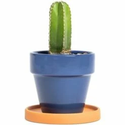 Okuna Outpost 12 Pack Clay Terra Cotta Plant Pot Saucers, Round Terracotta Drip Trays 4.5-Inch -Cheap Planters Store unnamed file 8148