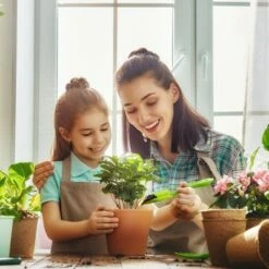 Nature Spring Metal 2-Tier Tricycle Plant Stand - Matte Black -Cheap Planters Store unnamed file 8210