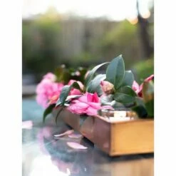 Gardener's Supply Company Rectangular Copper Plant Tray, 24" x 5" - GARDENER'S SUPPLY CO. -Cheap Planters Store unnamed file 8229