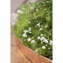 Gardener's Supply Company Large Round Copper Plant Tray, 14 - GARDENER'S SUPPLY CO.