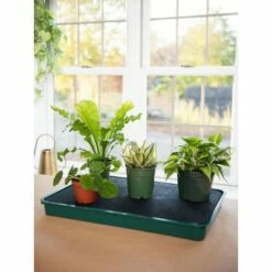 Self-Watering Tray - green - Gardener's Supply Company -Cheap Planters Store unnamed file 8255