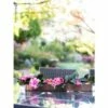 Gardener's Supply Company Rectangular Copper Plant Tray, 18x4 - GARDENER'S SUPPLY CO. -Cheap Planters Store unnamed file 8257