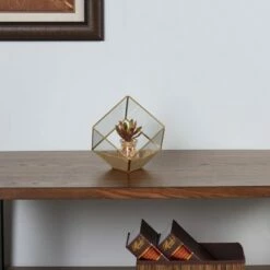 8.5" Cube Shaped Glass Terrarium Clear/Brass - Danya B.