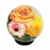 6.4" Glass Globe Vase Clear - ACHLA Designs 2 6.4" Glass Globe Vase Clear - ACHLA Designs -Cheap Planters Store unnamed file 8305