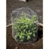 3-in-1 Chicken Long Wire Cloche Garden Protection, Two Section Each 18-1/2" L x 13-1/2" W x 8" H, Arrange 3 Ways - Gardener's Supply Company -Cheap Planters Store unnamed file 8309