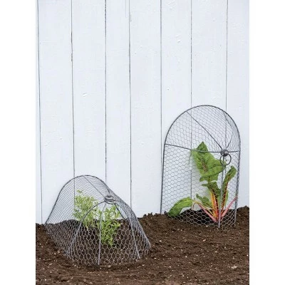 3-in-1 Chicken Long Wire Cloche Garden Protection, Two Section Each 18-1/2" L x 13-1/2" W x 8" H, Arrange 3 Ways - Gardener's Supply Company 4 3-in-1 Chicken Long Wire Cloche Garden Protection, Two Section Each 18-1/2" L x 13-1/2" W x 8" H, Arrange 3 Ways - Gardener's Supply Company - Image 2