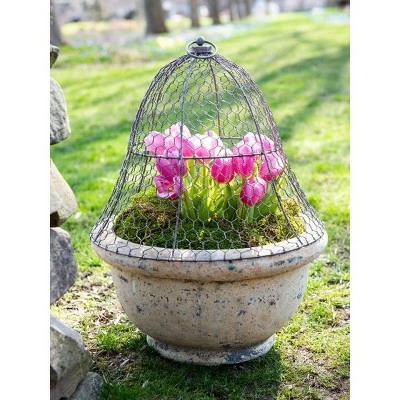 Sturdy Chicken Wire Cloche, 16" in Diameter x 12-1/2" H for Plant Cover and Protection from Wildlife - Gardener's Supply Company 3 Sturdy Chicken Wire Cloche, 16" in Diameter x 12-1/2" H for Plant Cover and Protection from Wildlife - Gardener's Supply Company