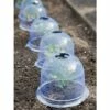 Medium Garden Cloches, Set of 6 - Gardener's Supply Company -Cheap Planters Store unnamed file 8318