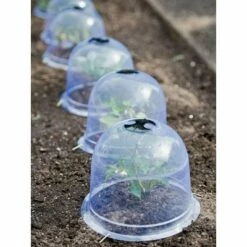 Medium Garden Cloches, Set of 6 - Gardener's Supply Company