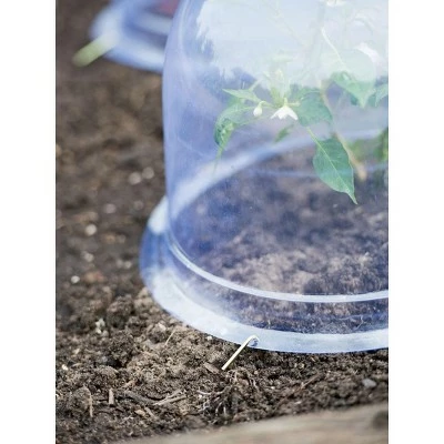 Medium Garden Cloches, Set of 6 - Gardener's Supply Company 4 Medium Garden Cloches, Set of 6 - Gardener's Supply Company - Image 2