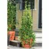 Vine Trellis for Victory Self-Watering Planter with Support System - Gardener's Supply Company