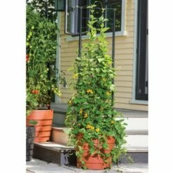Vine Trellis for Victory Self-Watering Planter with Support System - Gardener's Supply Company