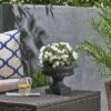 8.5" Stefano Lightweight Concrete Patio Urn Planter Black - Christopher Knight Home -Cheap Planters Store unnamed file 8366