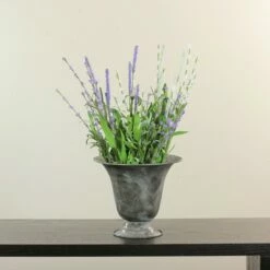 Cheap Planters Store -Cheap Planters Store unnamed file 8423