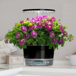 AeroGarden Harvest Elite 360 Platinum -Cheap Planters Store unnamed file 949