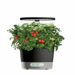 AeroGarden Harvest 360 Sage