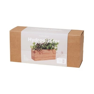 Modern Sprout Hydroplanter Hydroponic Smart Planter 5 Modern Sprout Hydroplanter Hydroponic Smart Planter - Image 3