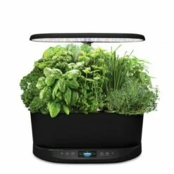 AeroGarden Bounty Indoor Hydroponic Herb Garden, Black -Cheap Planters Store unnamed file 980