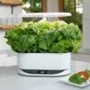AeroGarden Bounty, White -Cheap Planters Store unnamed file 982