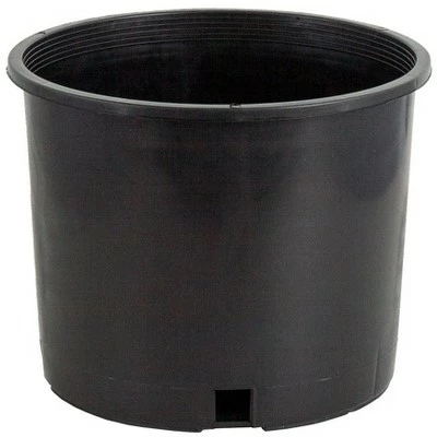 Pro Cal HGPK3PHD Round Circle BPA Free 3 Gallon Wide Rim Durable Injection Molded Plastic Garden Plant Nursery Pot for Indoor or Outdoor, 10 Pack 4 Pro Cal HGPK3PHD Round Circle BPA Free 3 Gallon Wide Rim Durable Injection Molded Plastic Garden Plant Nursery Pot for Indoor or Outdoor, 10 Pack - Image 2